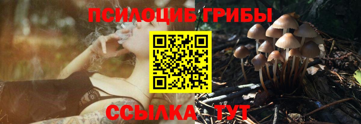 где купить наркоту  Галлюциногенные грибы Psilocybine cubensis  Великие Луки  Вход с VPN  Галлюциногенные грибы MAGIC MUSHROOMS 